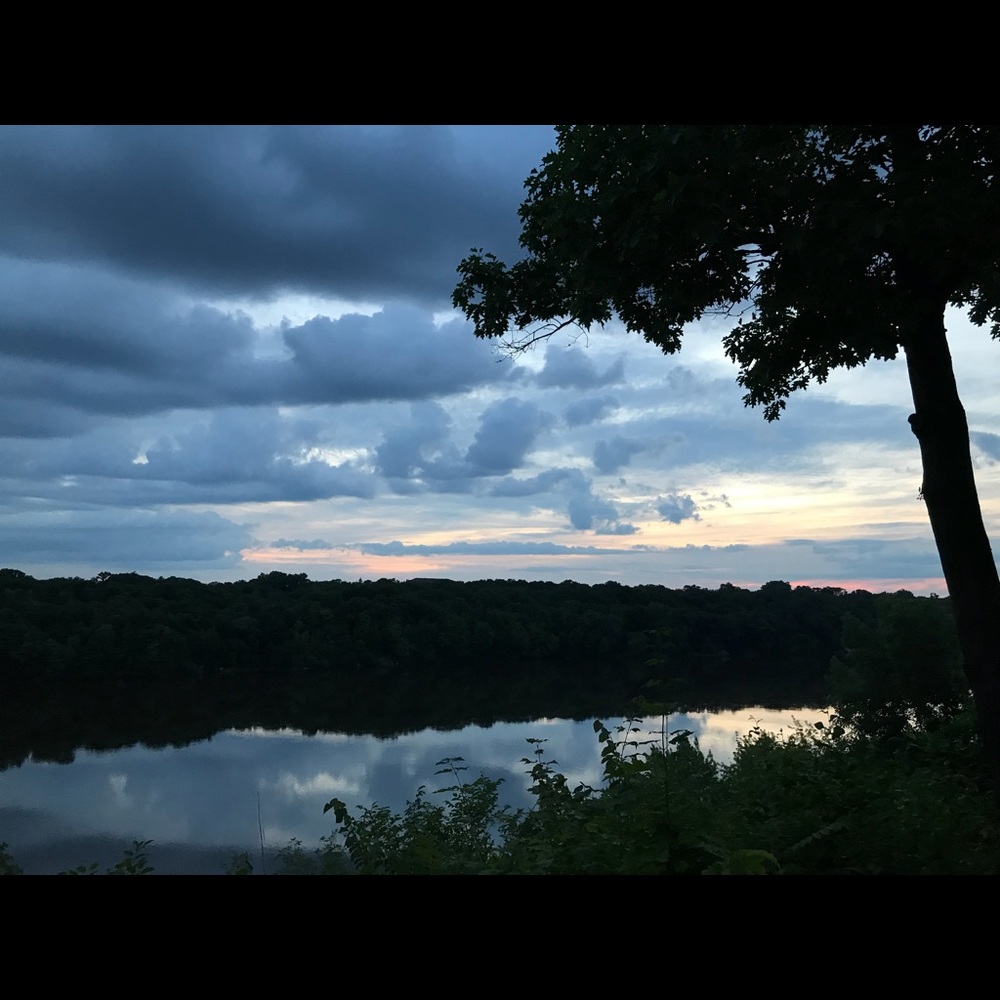 Meet your Posher, Maya